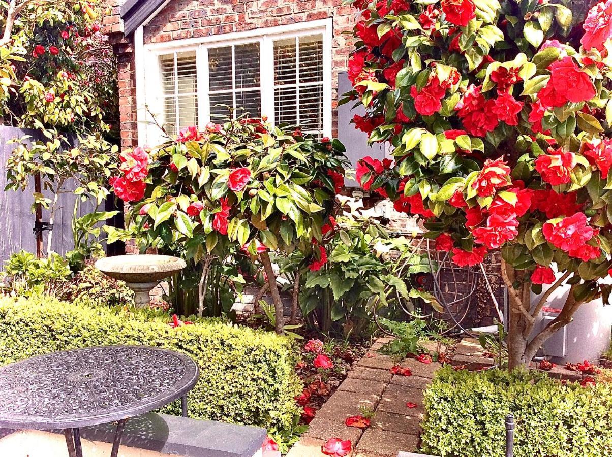 Kurrajong House Bed & Breakfast Лонсестън Екстериор снимка